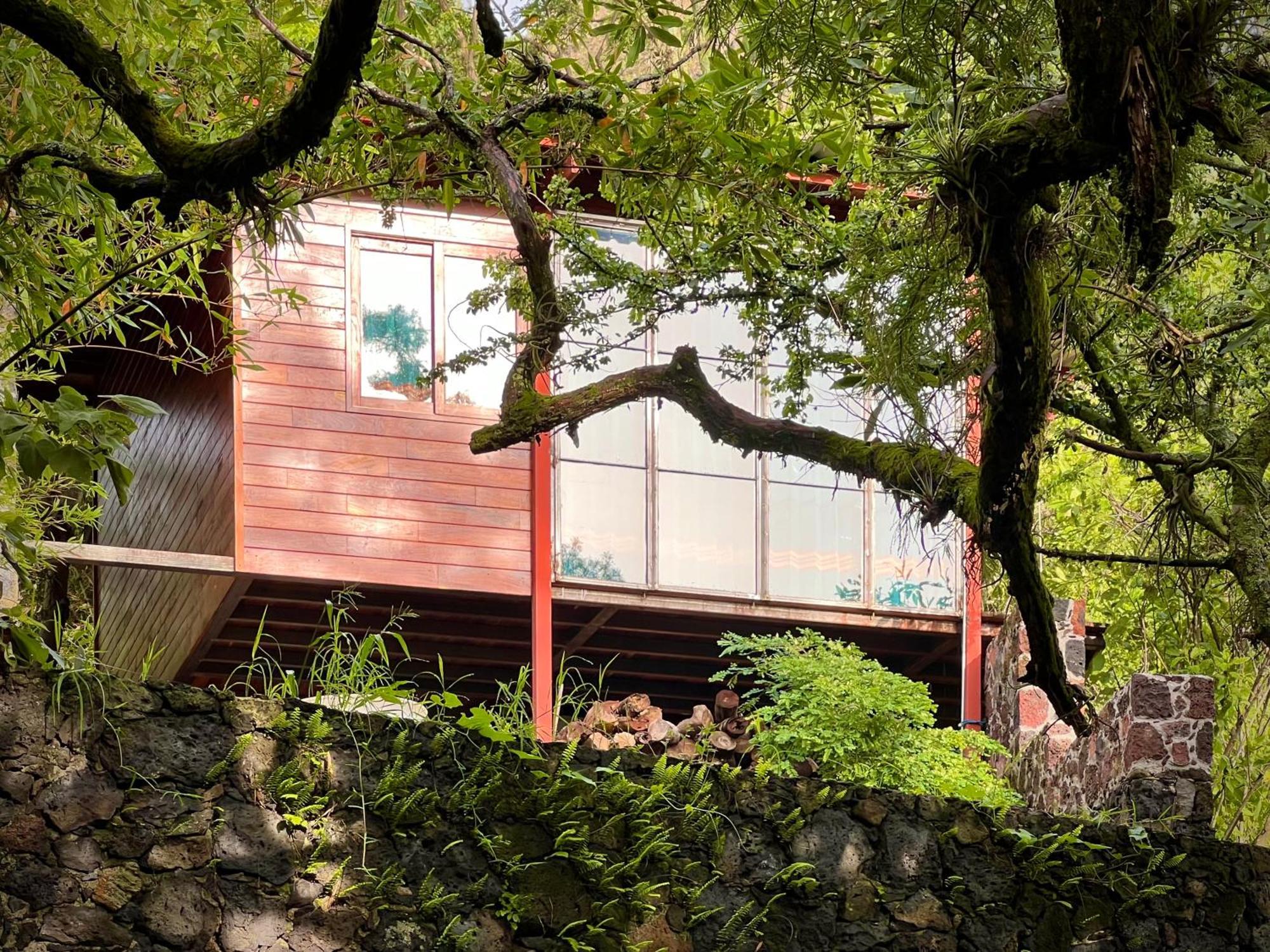 Santuario Ave Fenix-Cabanas Tepoztlán Eksteriør bilde