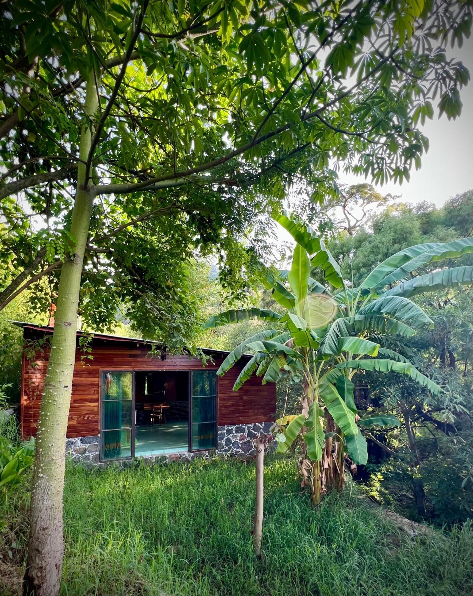 Santuario Ave Fenix-Cabanas Tepoztlán Eksteriør bilde