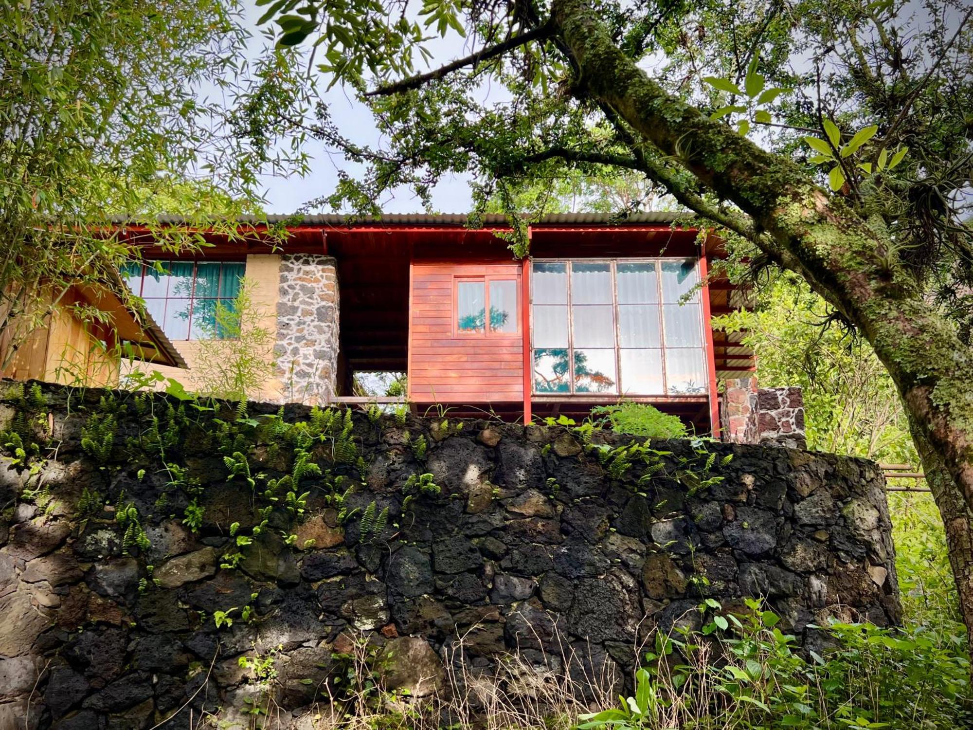 Santuario Ave Fenix-Cabanas Tepoztlán Rom bilde
