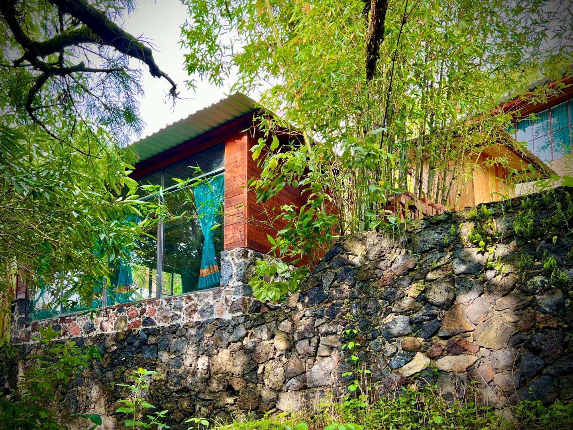 Santuario Ave Fenix-Cabanas Tepoztlán Rom bilde