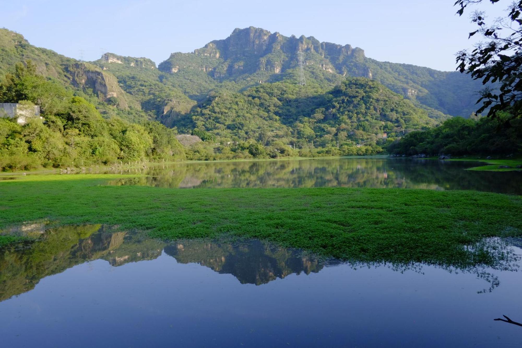 Santuario Ave Fenix-Cabanas Tepoztlán Eksteriør bilde